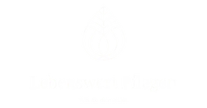 Web Design Agency Lebenswert Pflegen